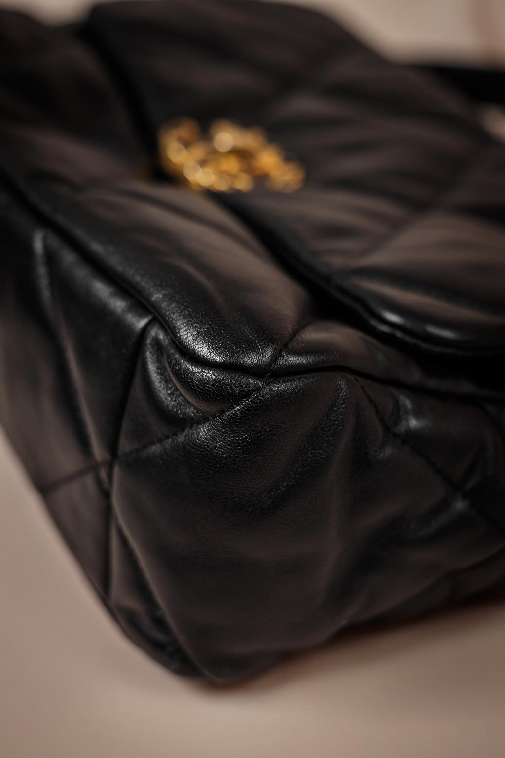 CHANEL 19 Handbag