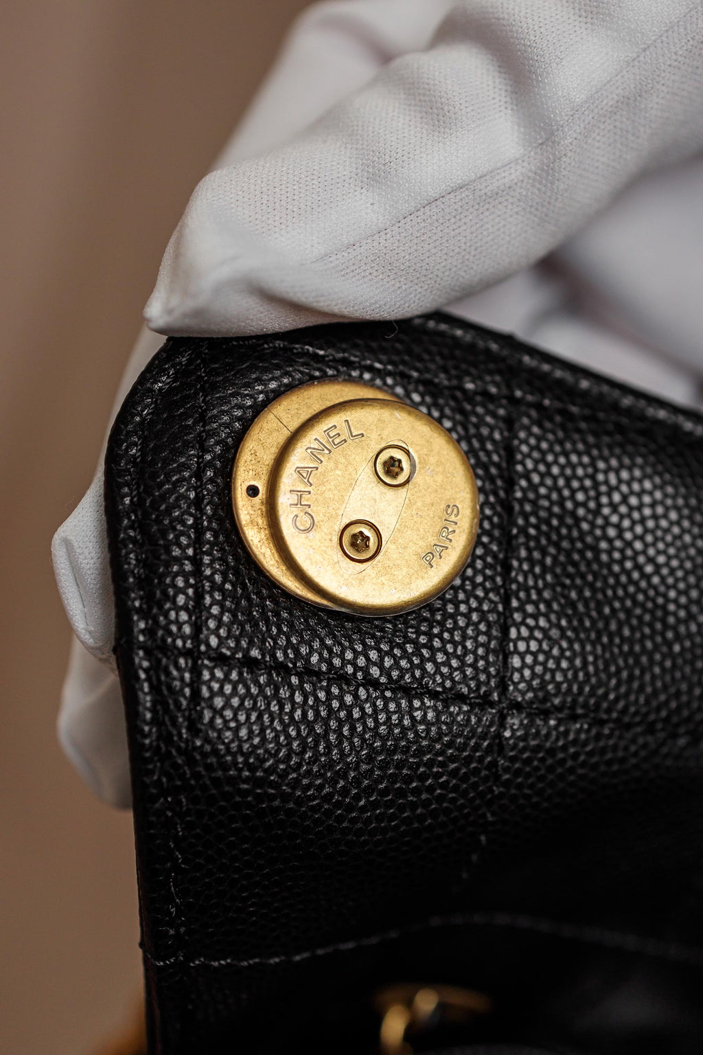 Chanel Medium Quilted Caviar Shopping Tote Bag